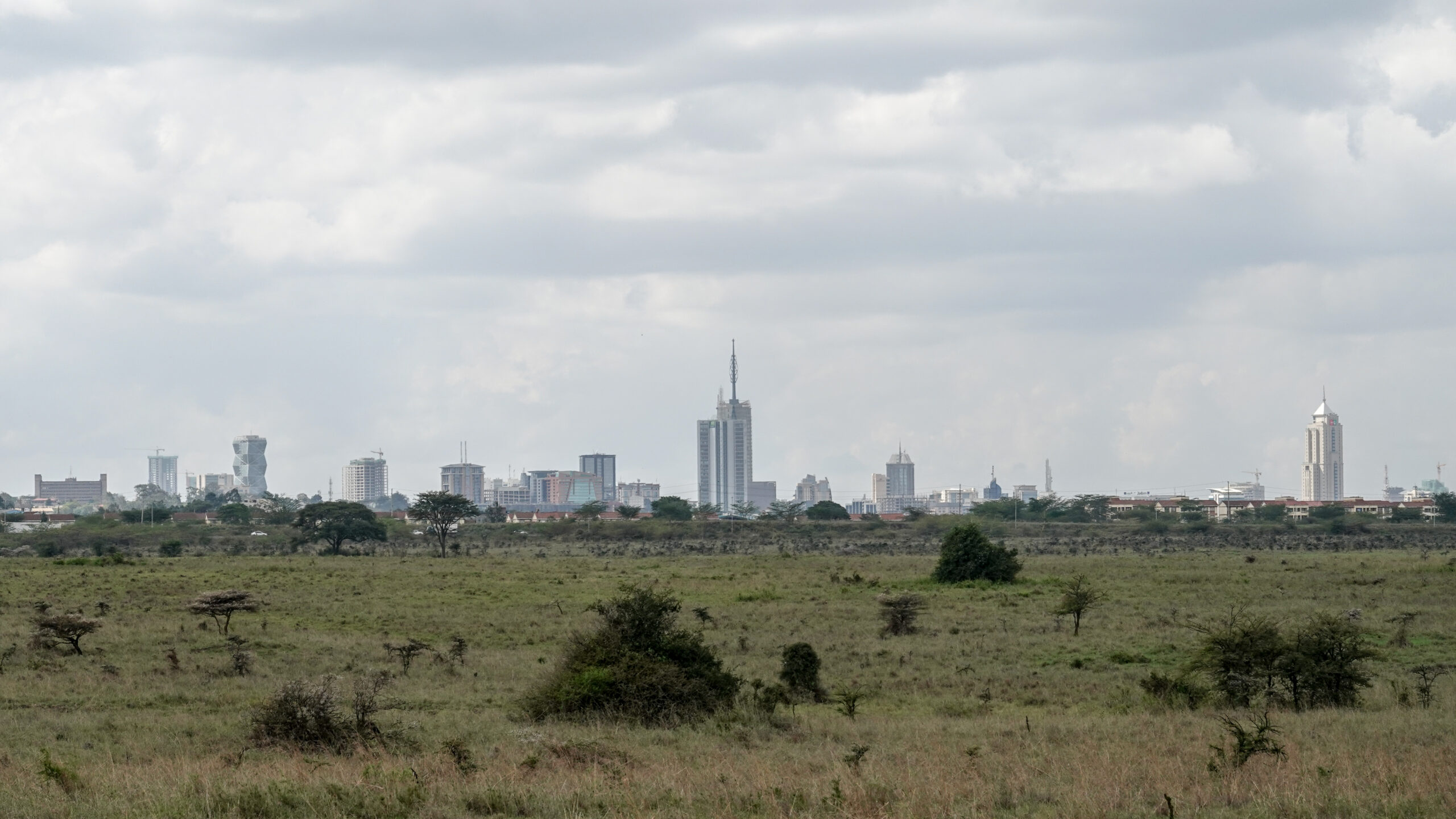 Nairobi skyline rising above the savannah of Nairobi National Park
